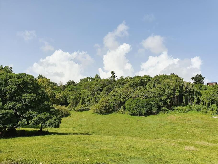 Villa Aichy Rabi ภายนอก รูปภาพ
